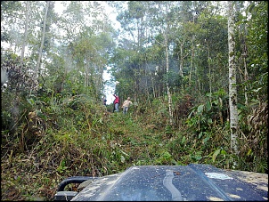 Trilha de maio-itapecerica da serra-sp-01052012004.jpg