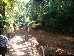 Trilha de maio-itapecerica da serra-sp-trilha2.jpg