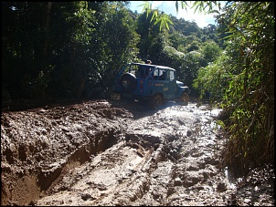 Trilha de maio-itapecerica da serra-sp-trilha9.jpg