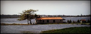 -casa-na-gua.jpg