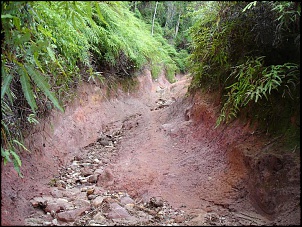 -praia_brava_022_899.jpg