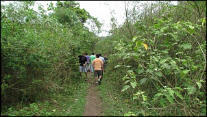 -img_3966.jpg
