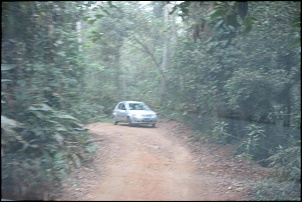 Trilha de Castelhanos - Ilhabela-029.jpg