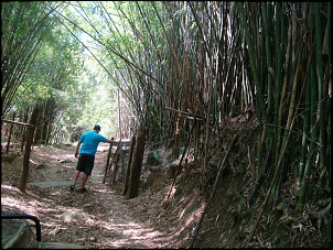 Trilhas/Passeios no estado do Rio de Janeiro-dsc04229.jpg