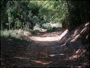 Trilhas/Passeios no estado do Rio de Janeiro-dsc04233.jpg