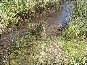 Trilhas no Sul-dsc00310_132.jpg