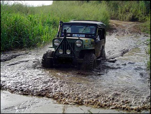 Trilhas - Coyotes Off Road-dsc00536_544.jpg