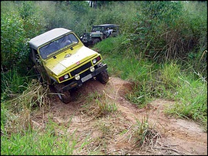 Trilhas - Coyotes Off Road-dsc00547_163.jpg