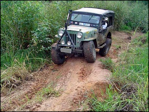 Trilhas - Coyotes Off Road-dsc00550_752.jpg