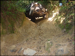-camorim_239_155.jpg