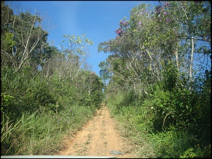 Trilha 27/04/2013-dsc05526.jpg