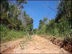 Trilha 27/04/2013-dsc05528.jpg