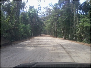 Trilha de Castelhanos - Ilhabela-2013-11-20-15.54.36.jpg