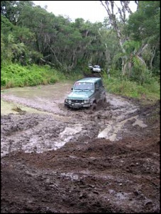 Trilhas no Sul-lagodomijo_212.jpg