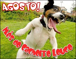 Equipe Cachorro Louco - RJ-agostomcl.jpg