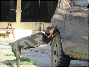 Trilhas Campo Grande Jeep Clube-img_2381.jpg