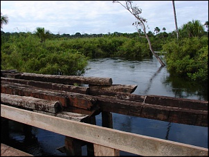 -amazonia_636_115.jpg