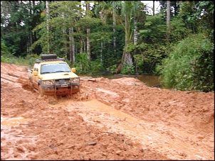 -amazonia_797_160.jpg