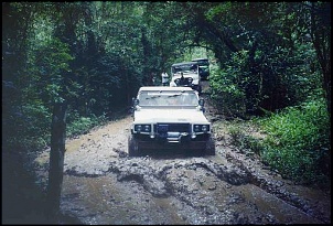 Trilha do Verde 3, 4, Pica-pau, Rasga banco e Linha do trem-bruno001_161.jpg
