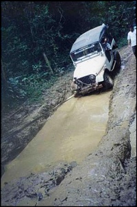 Trilha do Verde 3, 4, Pica-pau, Rasga banco e Linha do trem-bruno007_162.jpg