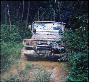 Trilha do Verde 3, 4, Pica-pau, Rasga banco e Linha do trem-bruno009_111.jpg