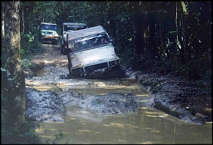 Trilha do Verde 3, 4, Pica-pau, Rasga banco e Linha do trem-bruno010_183.jpg