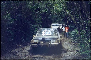 Trilha do Verde 3, 4, Pica-pau, Rasga banco e Linha do trem-bruno012_741.jpg