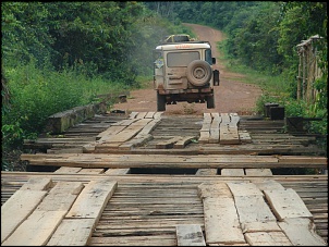 -amazonia_902_203.jpg