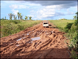 -amazonia_946_109.jpg