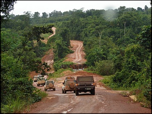 -amazonia_1483_137.jpg