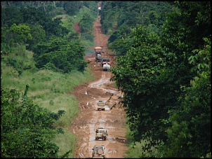 -amazonia_1528_130.jpg