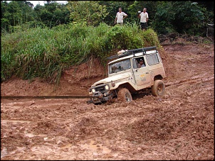 -amazonia_1504_583.jpg