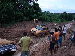-amazonia_1613_154.jpg