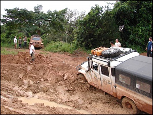 -amazonia_1586_726.jpg
