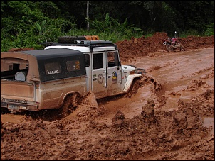 -amazonia_1670_211.jpg