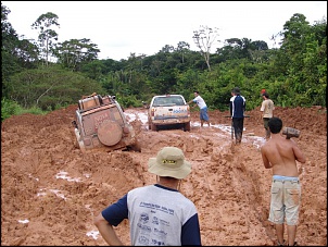 -amazonia_1667_228.jpg