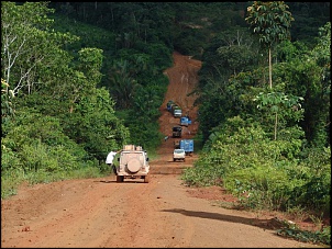 -amazonia_1646_179.jpg