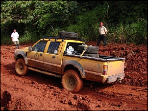 -amazonia_1645_100.jpg