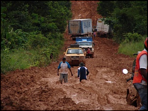 -amazonia_1684_190.jpg