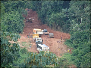 -amazonia_1724_159.jpg