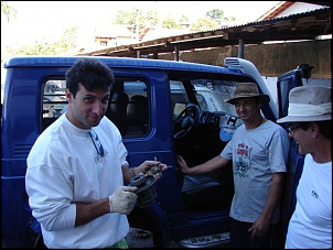 Trilha leve no Rio de Janeiro-maxi_lulu_15_06_06_012_122.jpg