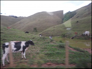 Dissidentes 4x4 RJ-bocaina-28-10-2017-014.jpg