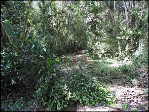 Dissidentes 4x4 RJ-bocaina-28-10-2017-101.jpg