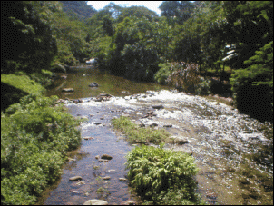 -cananeia1_138.gif
