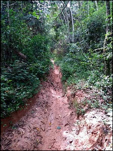 Dissidentes 4x4 RJ-28685722_1678028552243915_8359368732909728063_n.jpg