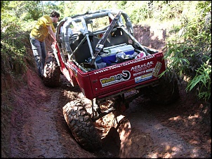-spiderdapatinha2.jpg