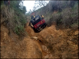 Dissidentes 4x4 RJ-70879191_2483163435063752_7983494431099584512_n.jpg