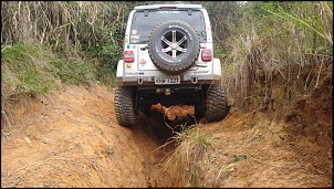 Dissidentes 4x4 RJ-71096343_2483168605063235_4281663836664102912_n.jpg