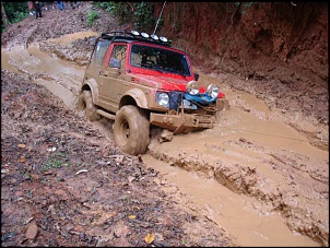 ROGERIA EM 2/11 - Trilha Feita-trilha-da-rogeria-028.jpg