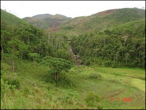Trilha leve no Rio de Janeiro-lev-iii-001.1.jpg